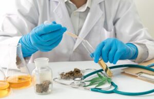 How Cannabis Processors Address Safety Issues in the Lab