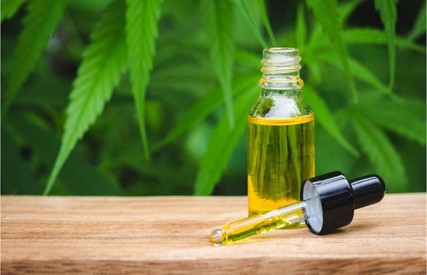 Exploring the Official Website to secure Details of CBD Oil
