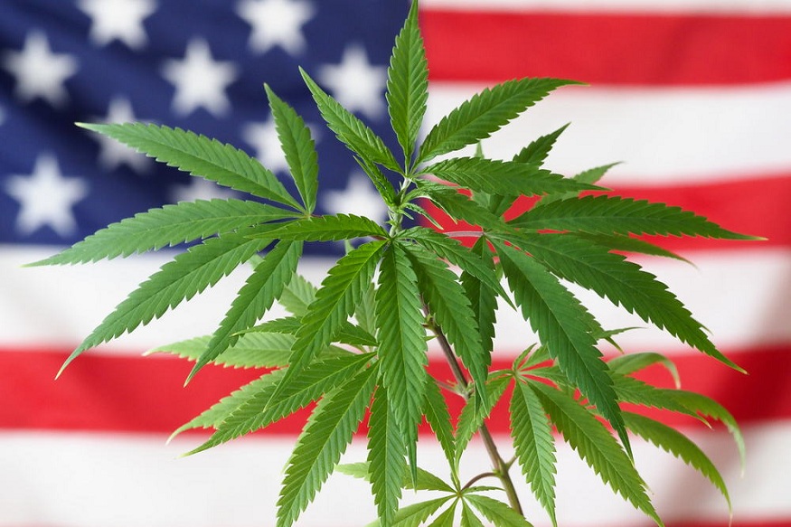 First Ever Marijuana Reform Bill