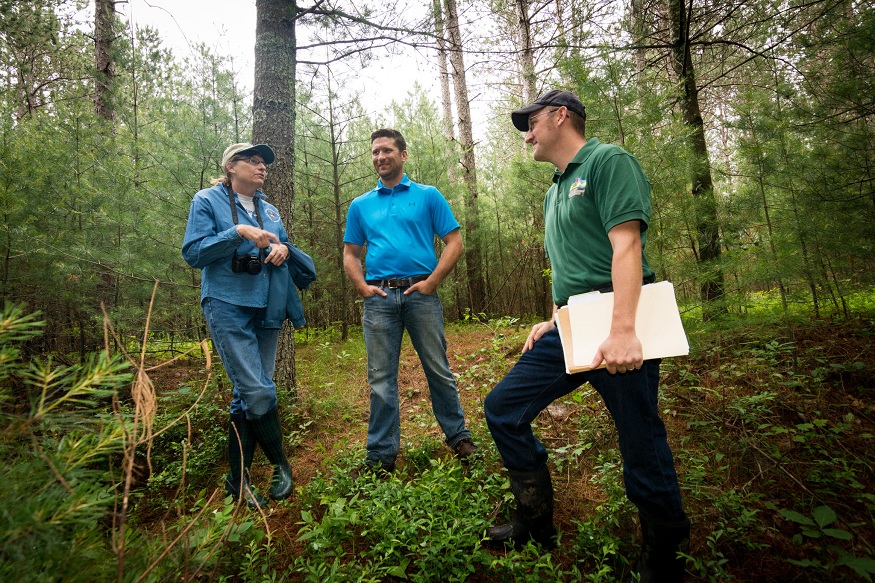 Top 6 Ways To Ensure Forest Health